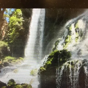 Le Jardin Haïti